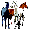 4 horses of apocalypse