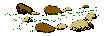springs rivers