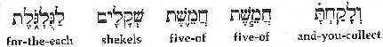 Hebrew = five of five of